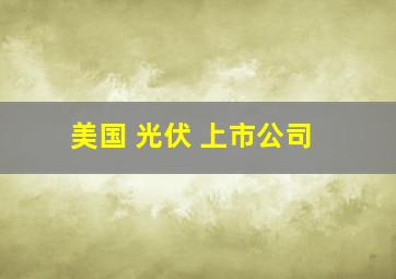 美国 光伏 上市公司